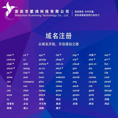 中文域名注册机构推荐插图
