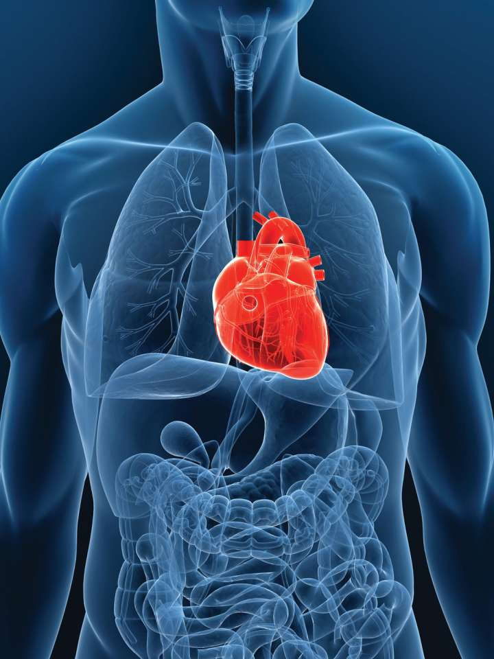 注册公司所需登录的网址名称及其重要性插图