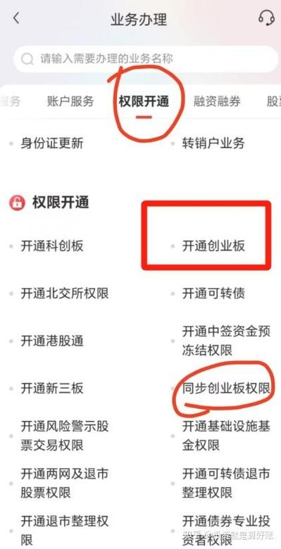 注册制创业板W权限开通攻略插图