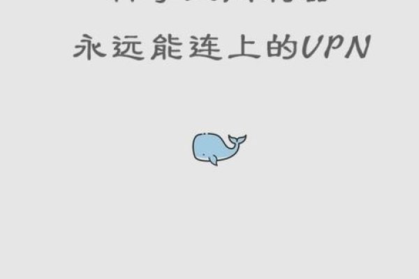 白鲸加速器app官网下载指南-方知甜