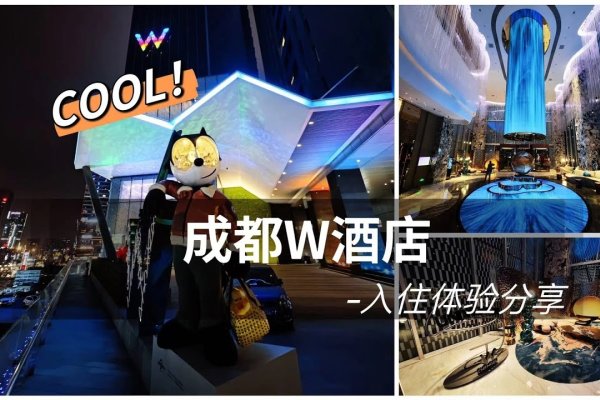 成都FCC头等舱俱乐部，探索高端休闲的新境界-方知甜