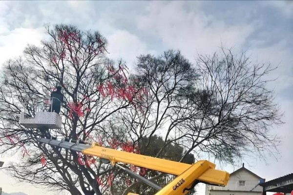 登高车租赁价格与空间出租市场分析-方知甜