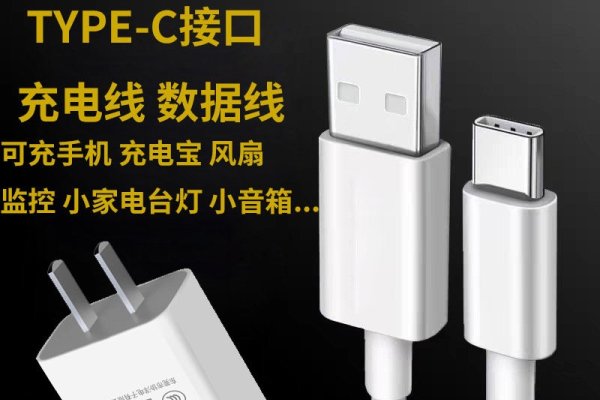电器上Input接口与电源线的连接-方知甜