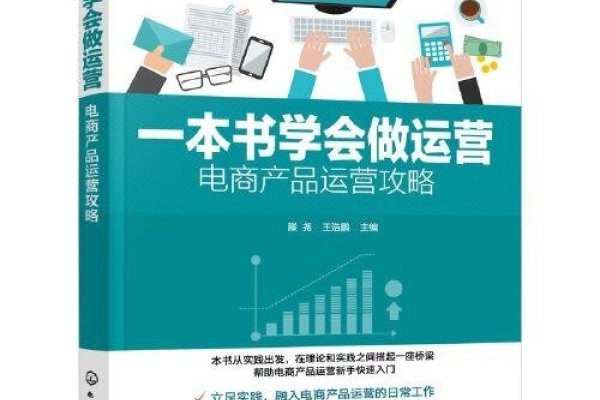 电商平台运营策略书-方知甜