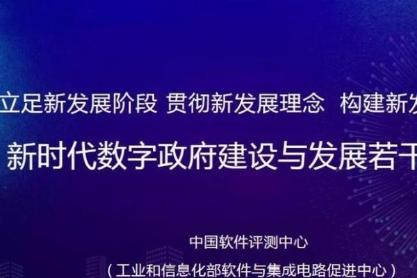 大丰建站，数字化时代的崭新篇章-方知甜