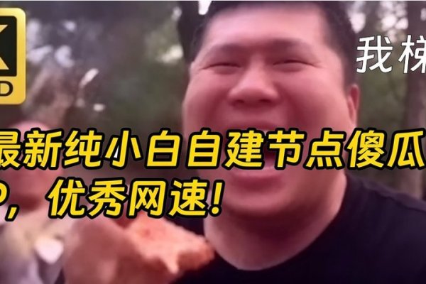 大疆VPS,虚拟专用服务器的新概念-方知甜