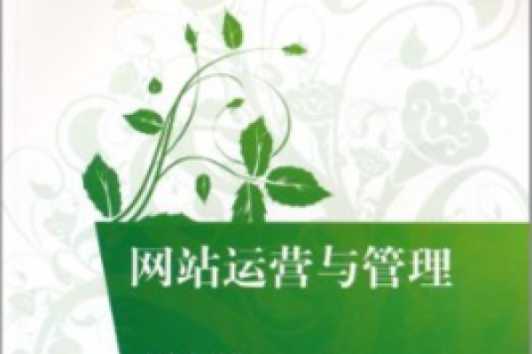 电子商务网站运营与管理重点-方知甜