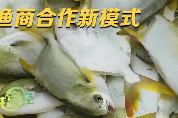 打造渔业网站，成本与投入分析-方知甜