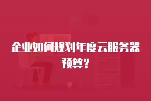服务器托管与选择策略，如何合理规划预算？-方知甜