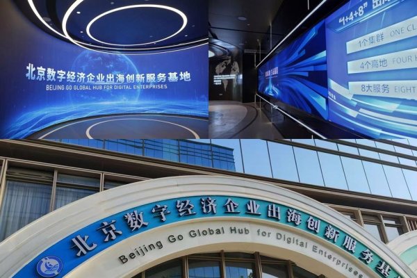 府谷网站建设公司，引领数字化时代的新篇章-方知甜