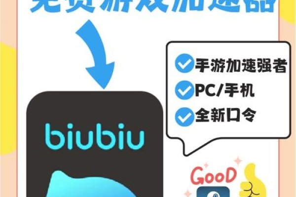 官方版biubiu加速器的全面解析-方知甜
