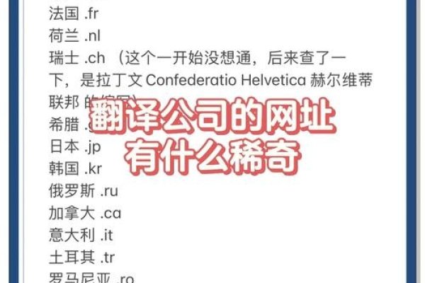 国际惯例中域名注册的采用及其影响-方知甜