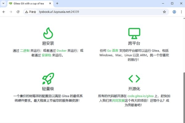 国外代码托管平台，高效、安全与便捷的代码托管解决方案-方知甜