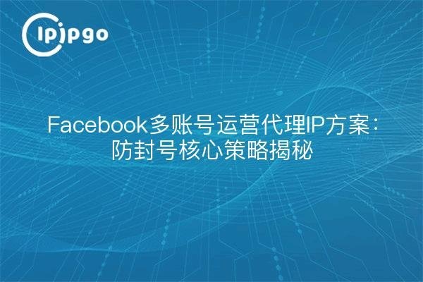国外服务器IP地址详解,美国区域分配及用途揭秘-方知甜