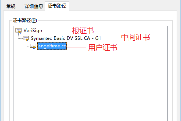 官网SSL证书的重要性及其影响-方知甜