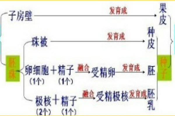 关键词中心性分析，理解其重要性及实施步骤-方知甜