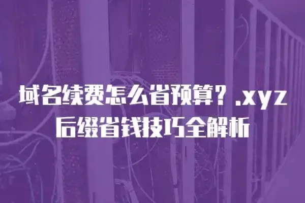 关于xyz后缀域名的探讨-方知甜