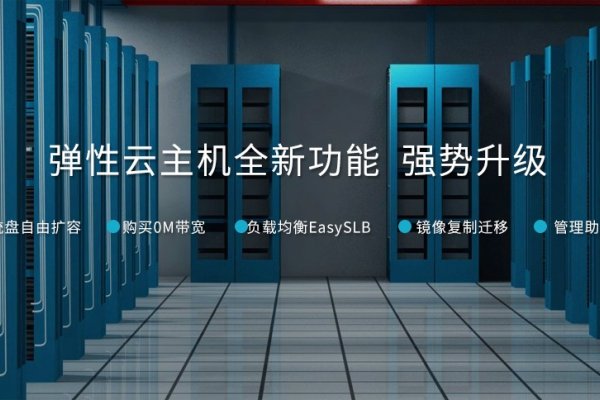河北云服务器租用与虚拟主机，探索云空间的无限可能-方知甜