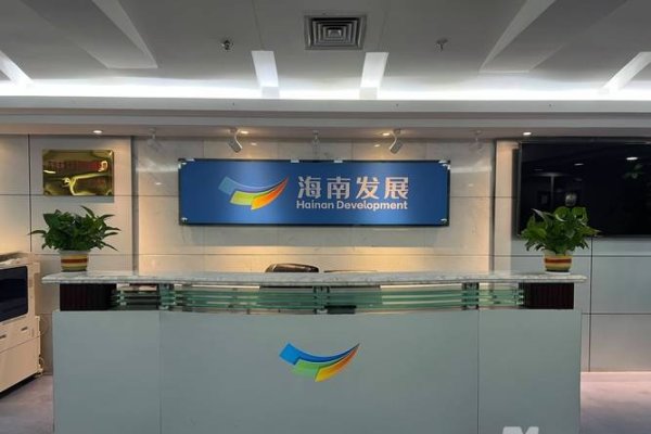 海南多元网络业务发展公司-方知甜