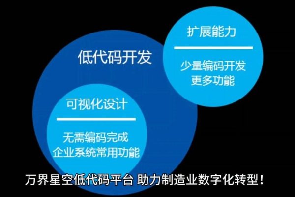 活字格低代码开发平台，推动企业数字化转型的利器-方知甜