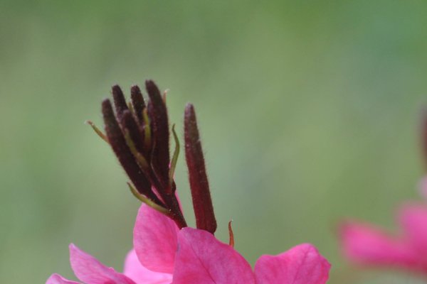 机房设备年度维保服务合同印花税与物业能耗费解析及应对房地产相关问题的策略探讨。-方知甜