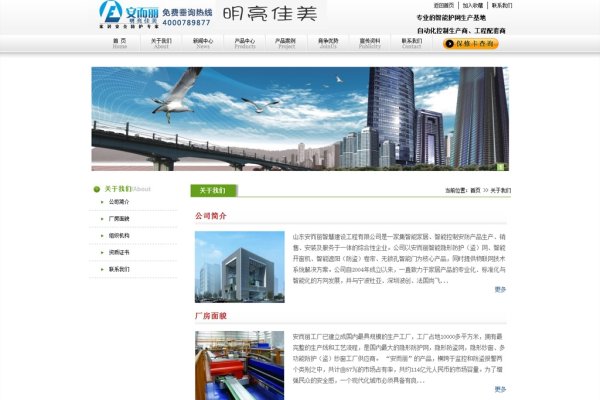 济南网站制作公司概览-方知甜