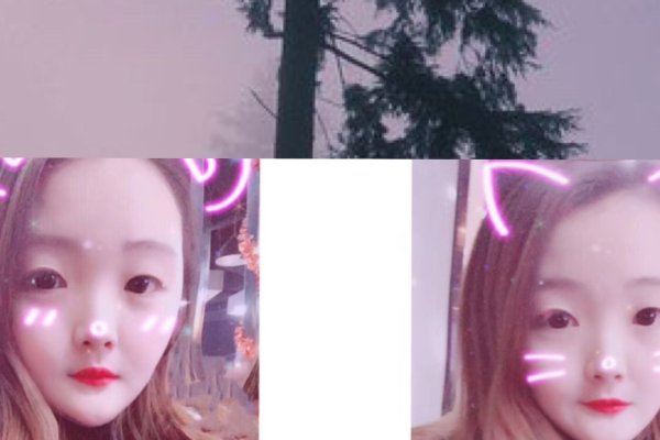 建议，51空间登录指南，轻松进入个人社交之旅！-方知甜