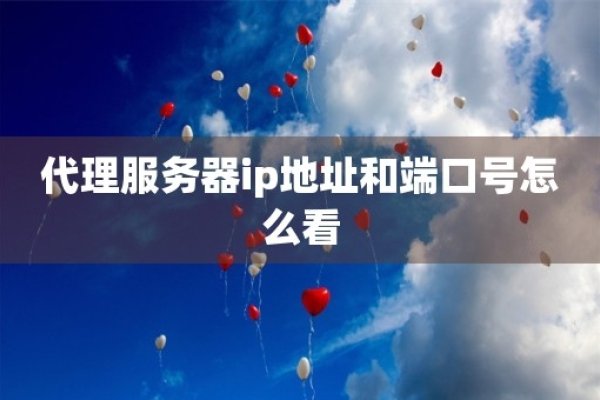 建议，，计算机代理服务器设置详解及IP地址端口如何更改？云操作系统如何选择？-方知甜