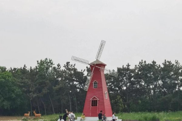 龙口森林小镇设备生产资讯-方知甜