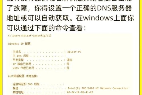 面对国外服务器上的网站建设，如何有效打击非法活动与不良内容-方知甜