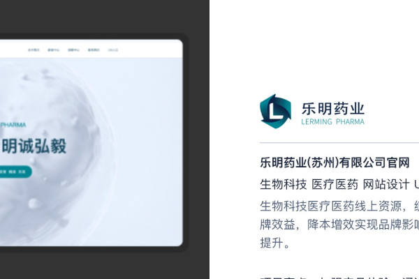 某某公司网站的创新设计与用户体验优化-方知甜