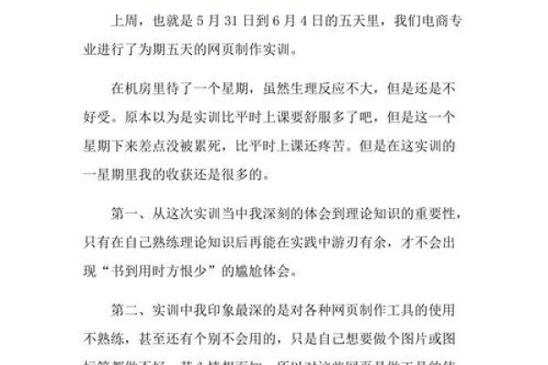 企业网站实训总结，经验、挑战与未来展望-方知甜