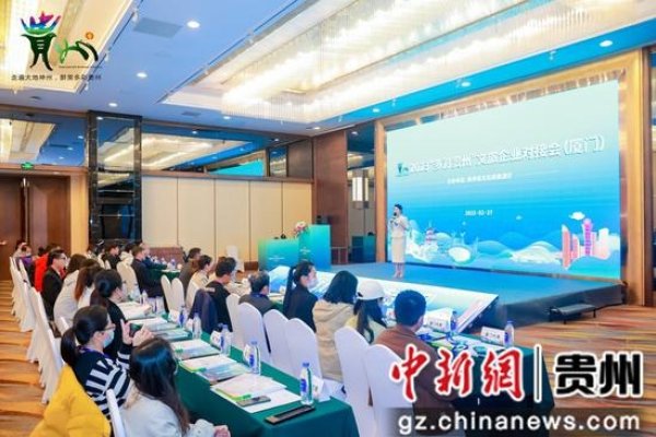 企业网站的多彩形式-方知甜