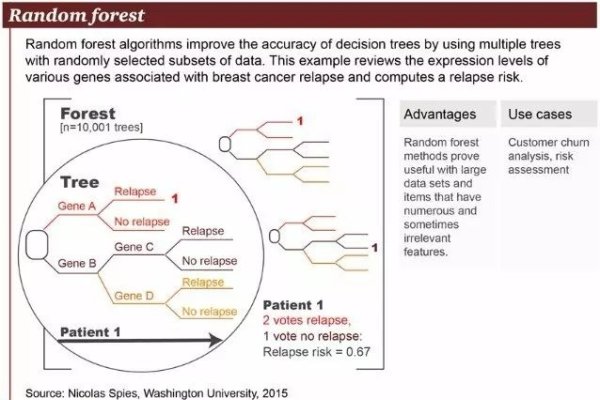 日本服务器详解，选择、优势与应用场景分析-方知甜