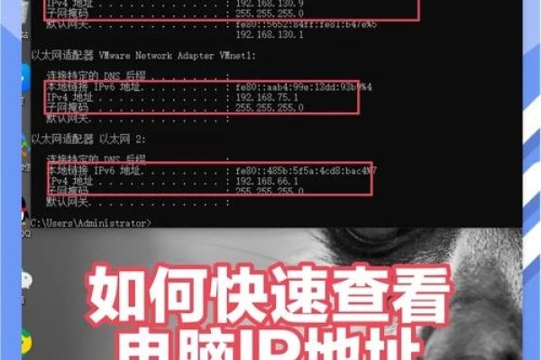 如何查看本机IP地址-方知甜
