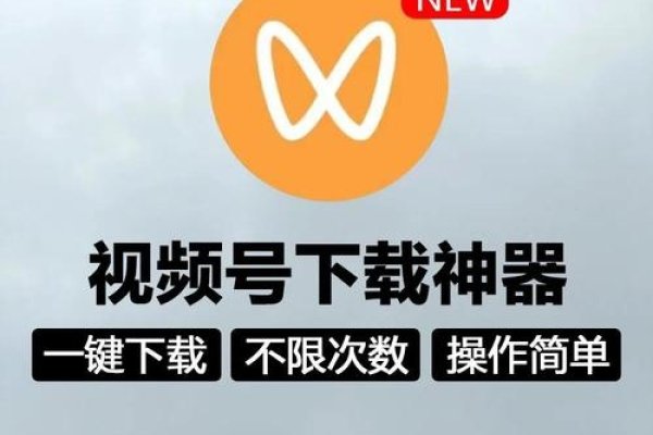 手机版视频号下载软件免费，轻松畅享视频世界-方知甜