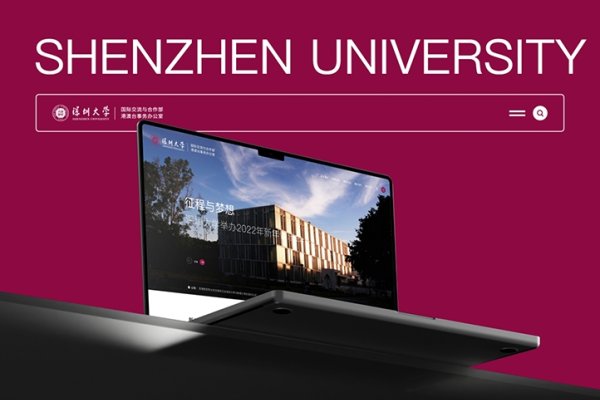 深圳网站设计专业,费用与价值并行的选择-方知甜