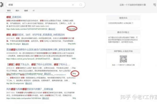 使用Bing搜索引擎下载关键词，如何快速高效地下载文件-方知甜