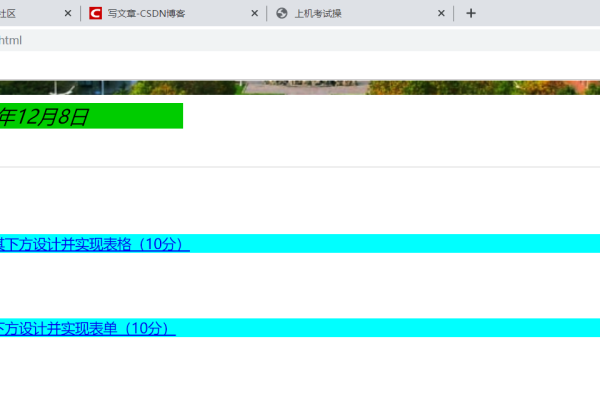 网页设计期末考试代码题解析与备考策略-方知甜