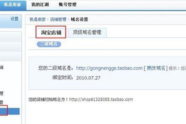 网站第二域名的应用与管理策略-方知甜