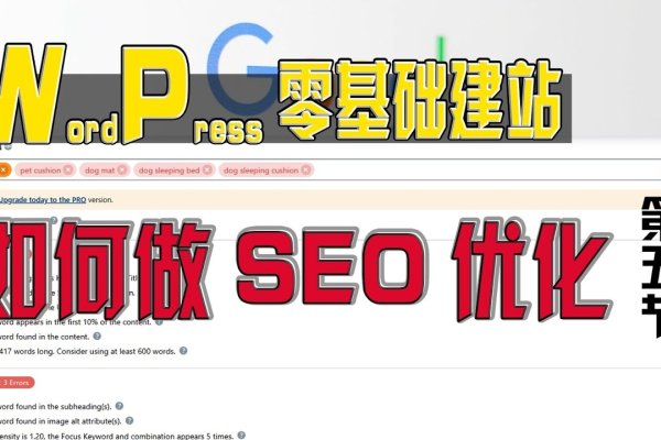 网站建设排名优化，零基础教学指南-方知甜