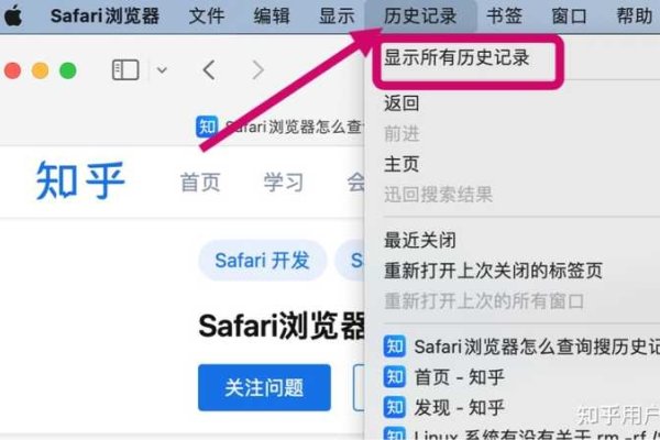 网站历史记录查询方法与步骤解析（含浏览器及手机应用）-方知甜