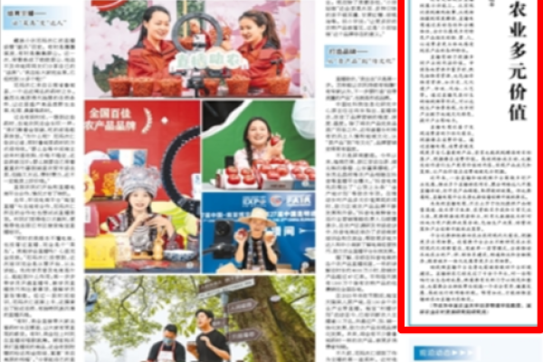 网站模板的多元用途与价值-方知甜