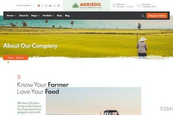 网站制作公司排名，如何选择最适合您的合作伙伴-方知甜