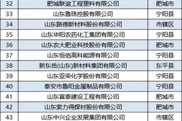 泰安最大的网络公司排名-方知甜