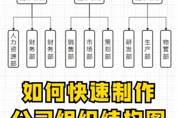 构建高效运作的App制作公司组织机构-方知甜