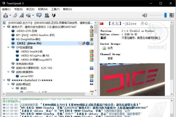 搭建ts3服务器指南，解决访问难题与安全保障措施-方知甜