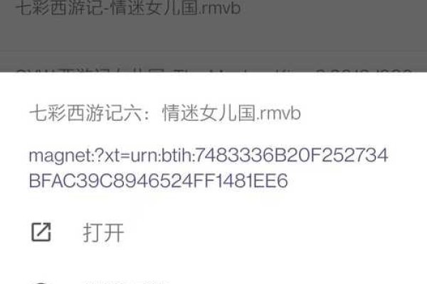 磁力种子搜索教程，Torrentkitty使用指南及注意事项。-方知甜