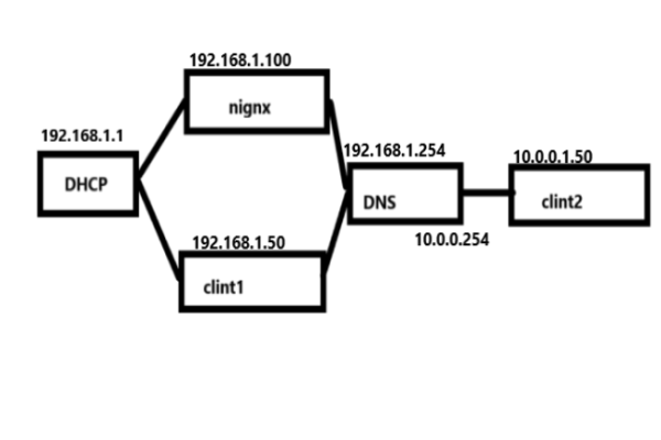域名解析服务器对企业的影响及自建DNS与DHCP的优势与挑战简洁明了，直接概括了文章的主要内容）-方知甜