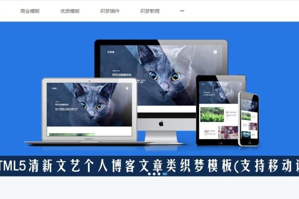 织梦源码网站，探索与理解-方知甜